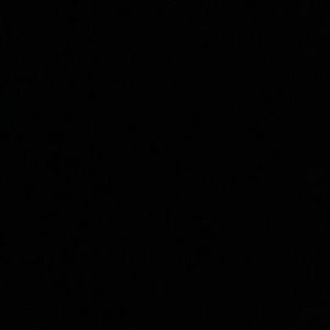 Meet your Posher, Dennis